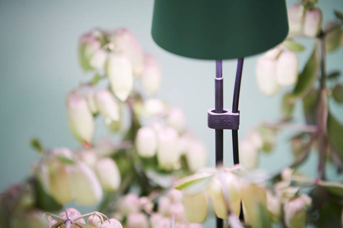 leaf light care 36cm laubgrün